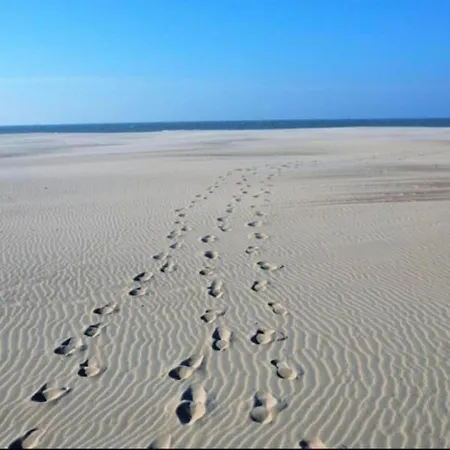 Near & Marina * Nieuwpoort