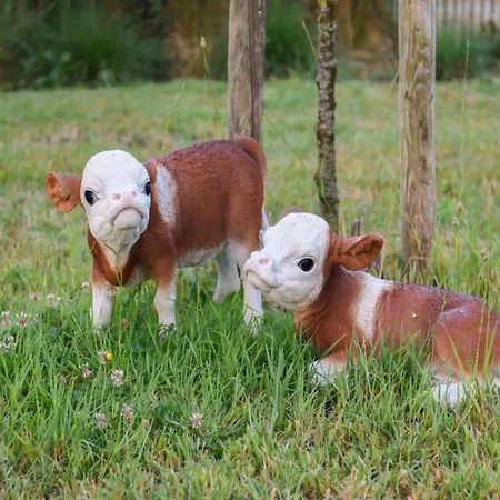 Near & Marina Apartamento *