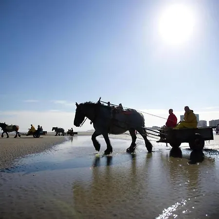 Appartement Near & Marina *