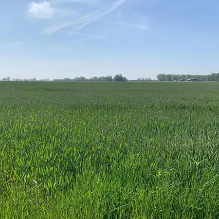 Near & Marina Nieuport