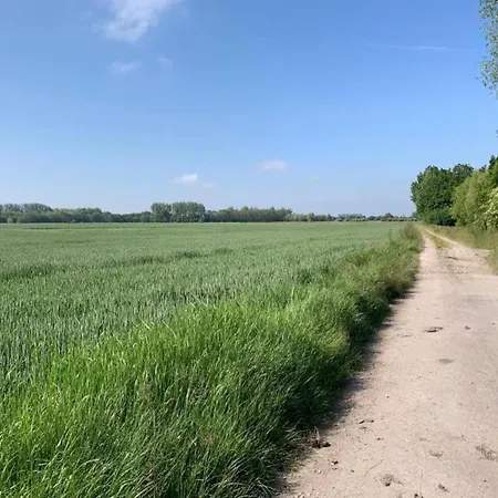 Near & Marina * Nieuwpoort