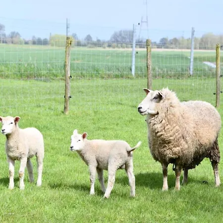 Appartement Near & Marina *