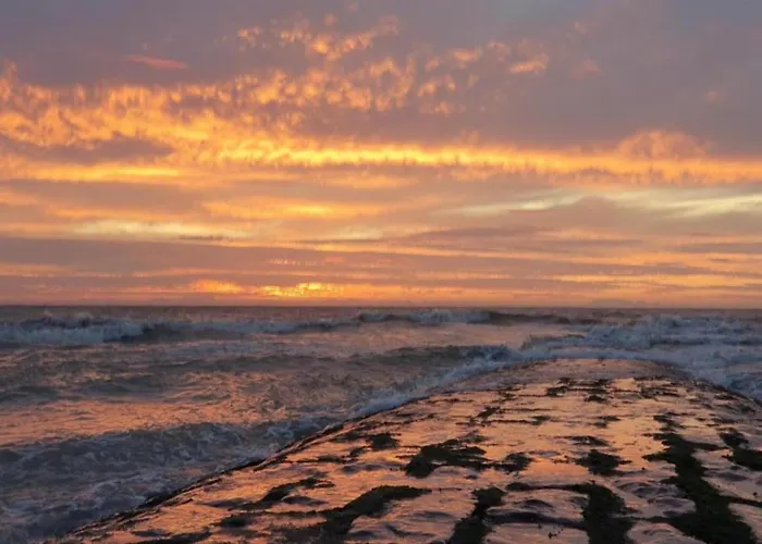 Near & Marina Lägenhet