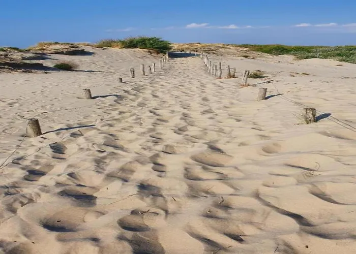 Near & Marina Nieuwpoort